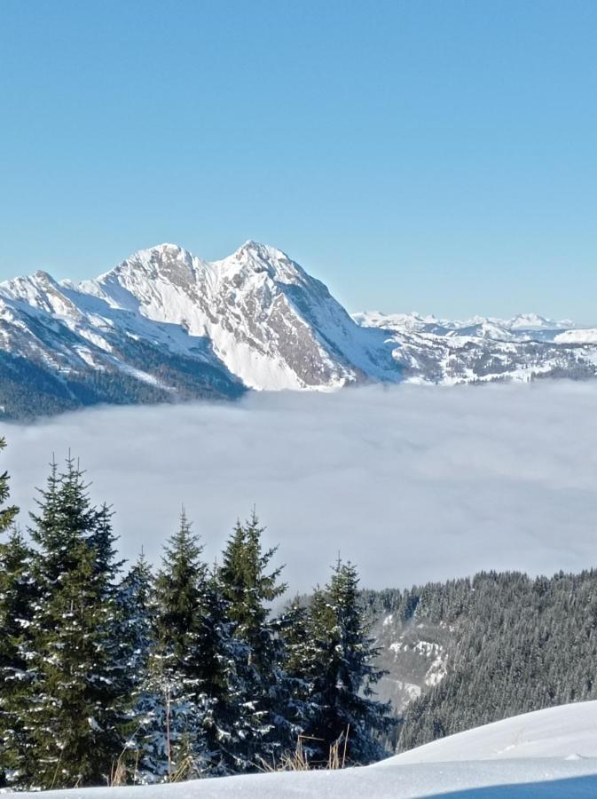 Landhaus Rosner Dorfgastein Esterno foto